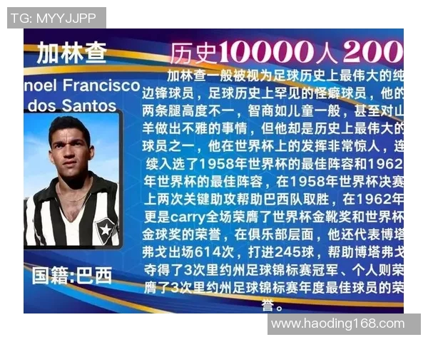 全球足球巨星及其代表国籍盘点，谁是你心中的最佳球员